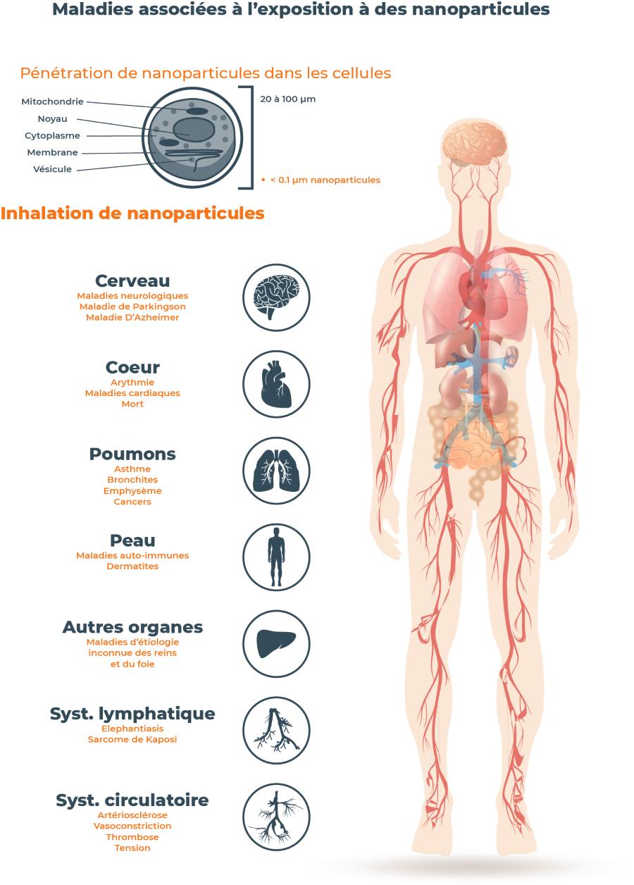 les dangers des nanoparticules sur le corps humain