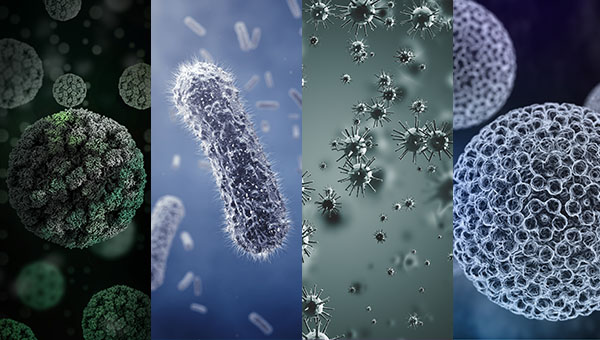 élèments en 3D représentant les nanoparticules