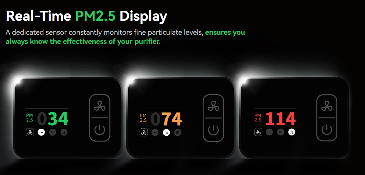 still-2024-09-02-110632_111